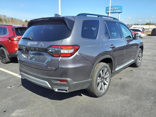 2024 Honda Pilot Elite in Chevy Chase Heights, PA - Delaney Auto Group
